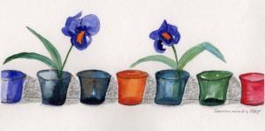 Cover Variation Renate Grolewsky