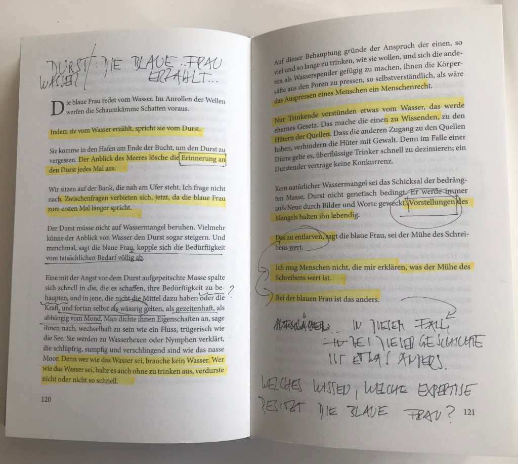 Aufgeschlagene Buch-Doppelseite, auf der zahlreiche Sätze markiert sind und/oder angestrichen. Zudem gibt es Sätze/Fragen, die handschriftlich in Druckbuchstaben notiert sind (z.B. WELCHES WISSEN, WELCHE EXPERTISE BESITUT DIE BLAUE FRAU?